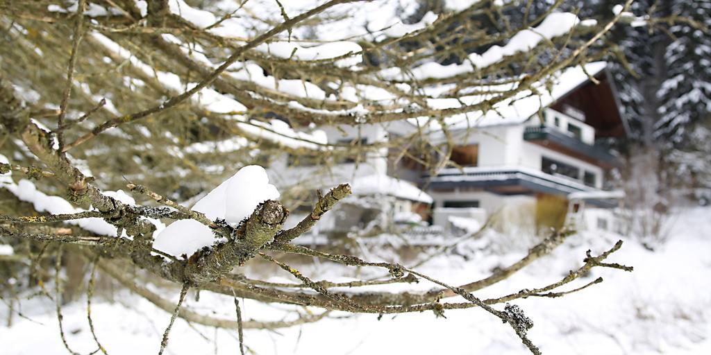 Hotel-Pension Zum Paradies Willingen  Dış mekan fotoğraf