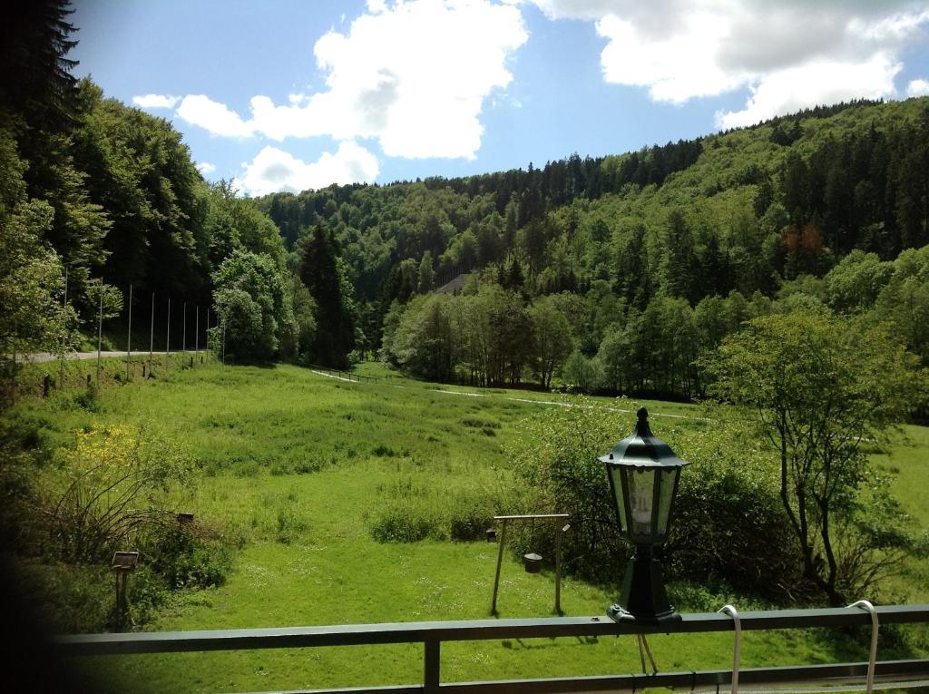 Hotel-Pension Zum Paradies Willingen  Dış mekan fotoğraf