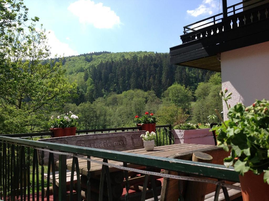 Hotel-Pension Zum Paradies Willingen  Dış mekan fotoğraf